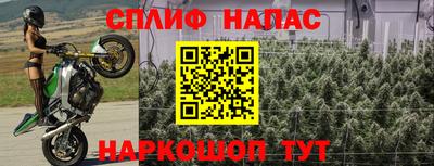 гашик Гусь-Хрустальный