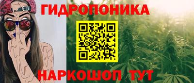 спиды Гусев