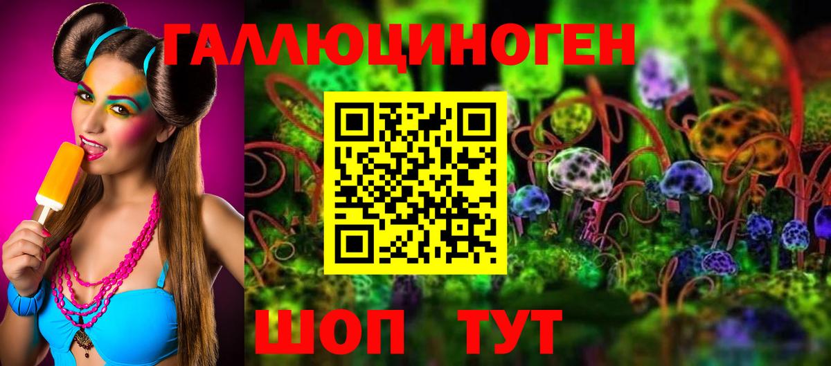 Псилоцибиновые грибы Magic Shrooms  Вход с VPN  Лесной 