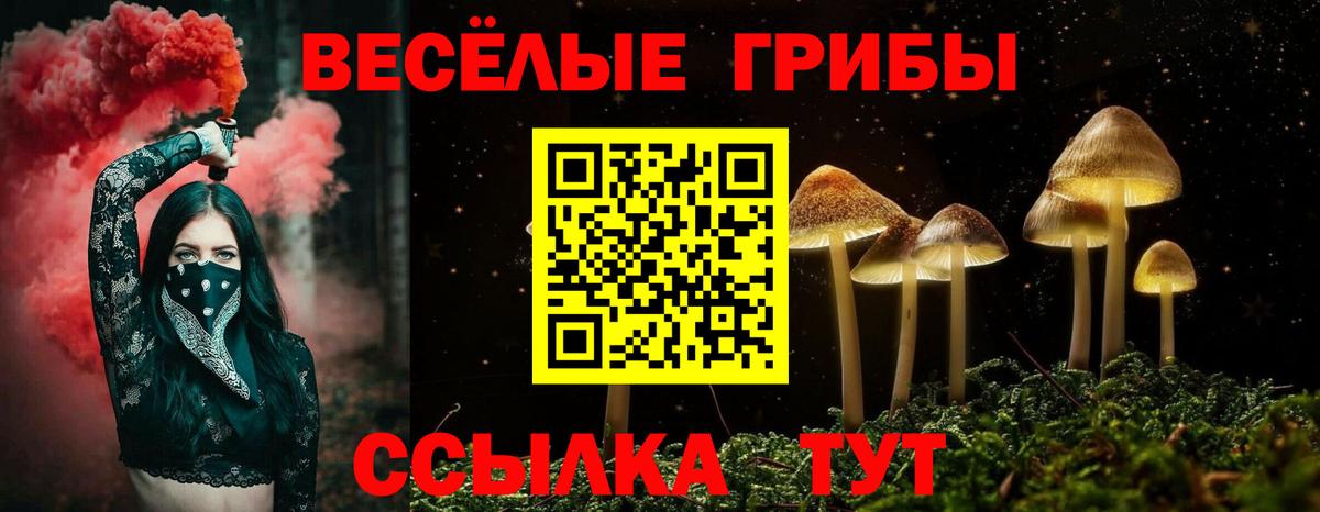 ЭКСТАЗИ  Вход с VPN  Канабис  МЕФ кристаллы  Канабис  Лесной  Гашиш  Меф МЯУ МЯУ  ГАШИШ  Cocaine 