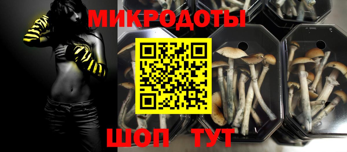 Псилоцибиновые грибы MAGIC MUSHROOMS Лесной
