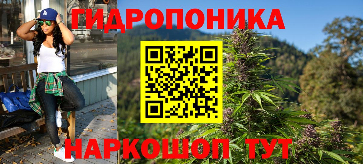 Марихуана Bruce Banner  Канабис Bruce Banner  Каннабис план  Вход с VPN  Лесной 